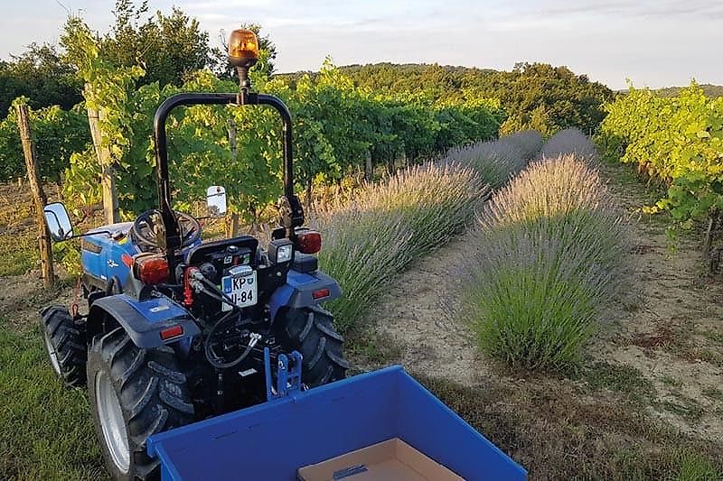 Solis 26 Seitenschaltung Frontlader Galaxy Pro Bereifung 4x4