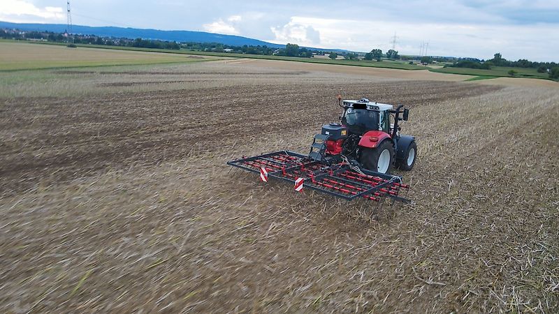 Saphir Strohstriegel ClearStar