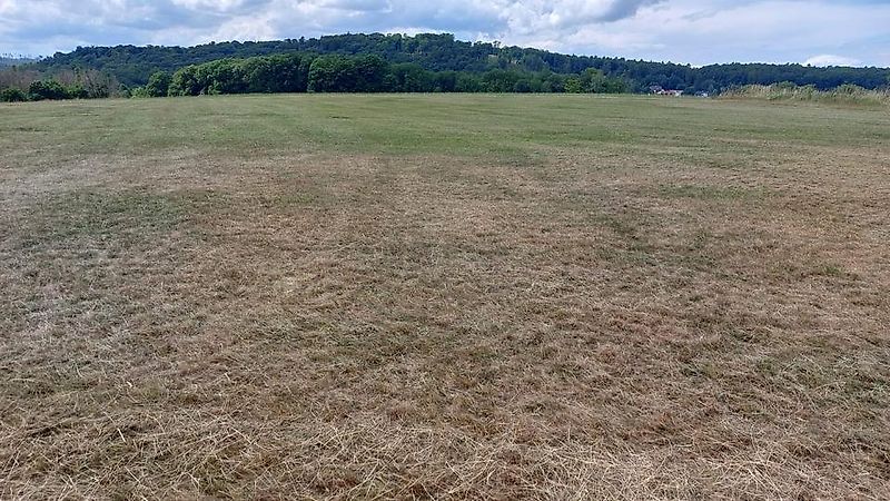 Omarv Böschungsmulcher Auslegemulcher Schlegelmulcher Mulcher