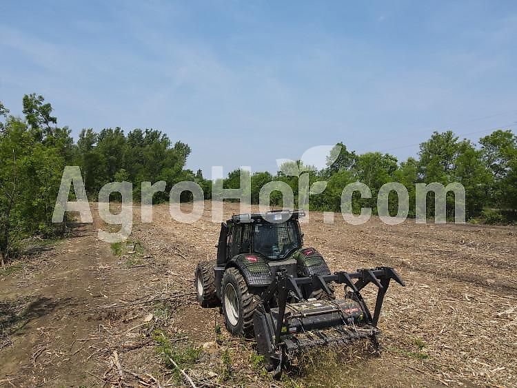 Aardenburg Delta XL Black Grizzly/ Forstmulcher mit Rotor mit festen Zähnen 225 cm